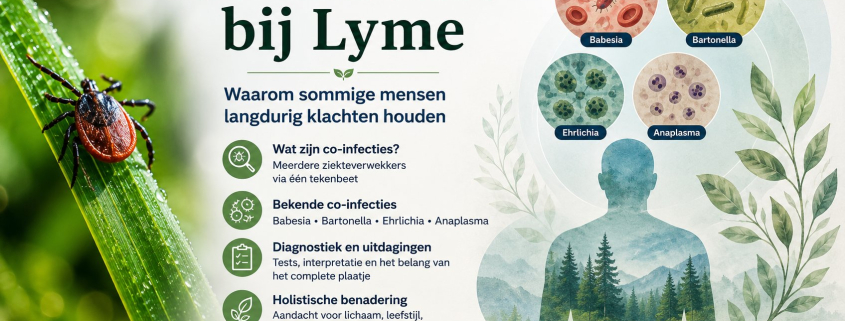 co-infecties-lyme